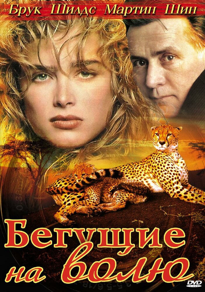 Бегущие на волю (1995) постер