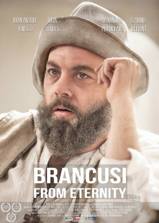 Brâncusi din eternitate (2014) постер